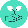 Growth-Value-green-bkgd